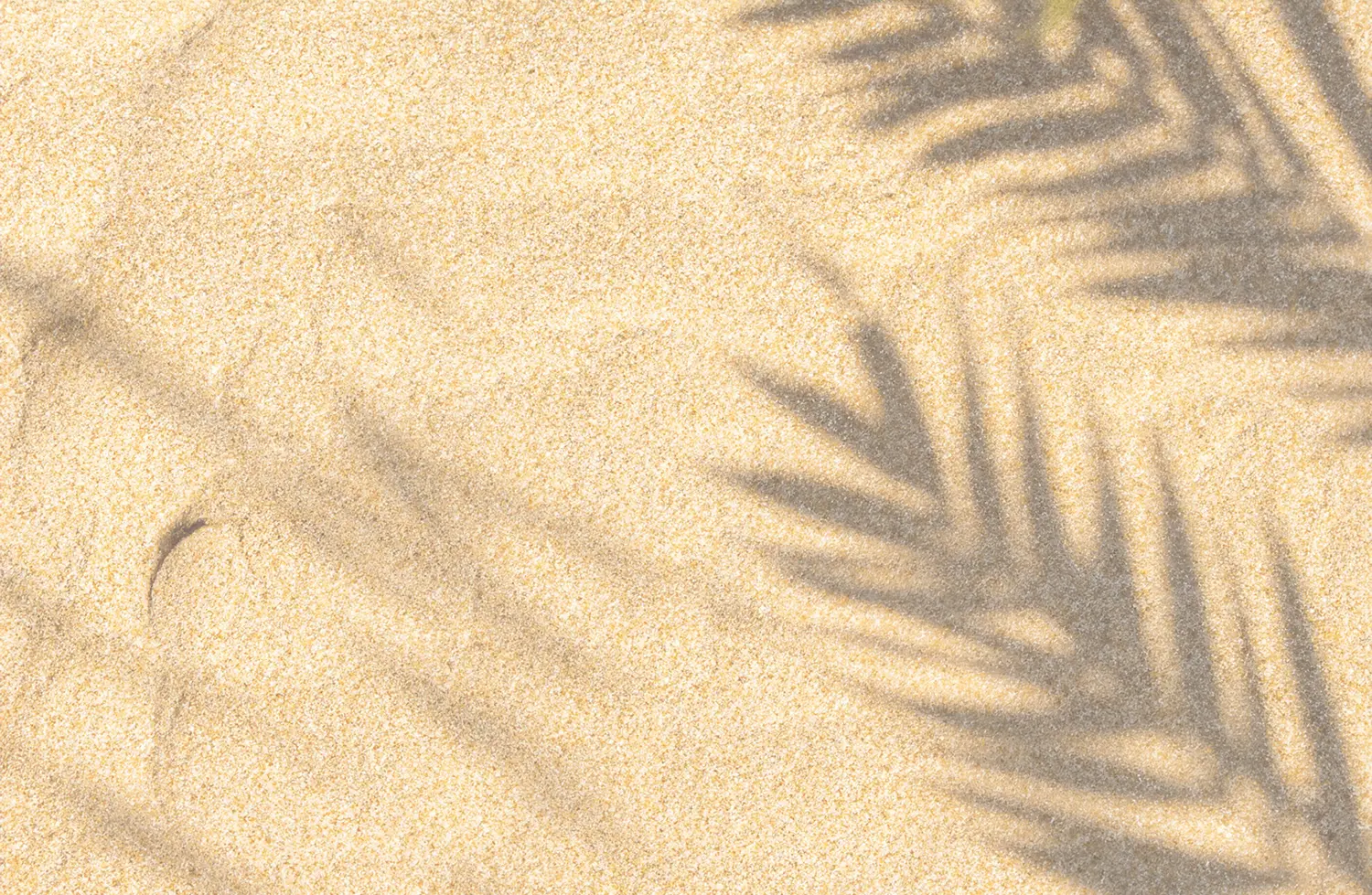 Why choose Sea Isle Smiles background